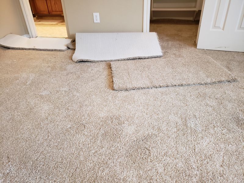 Commercial Carpet Repair in Olathe, KS